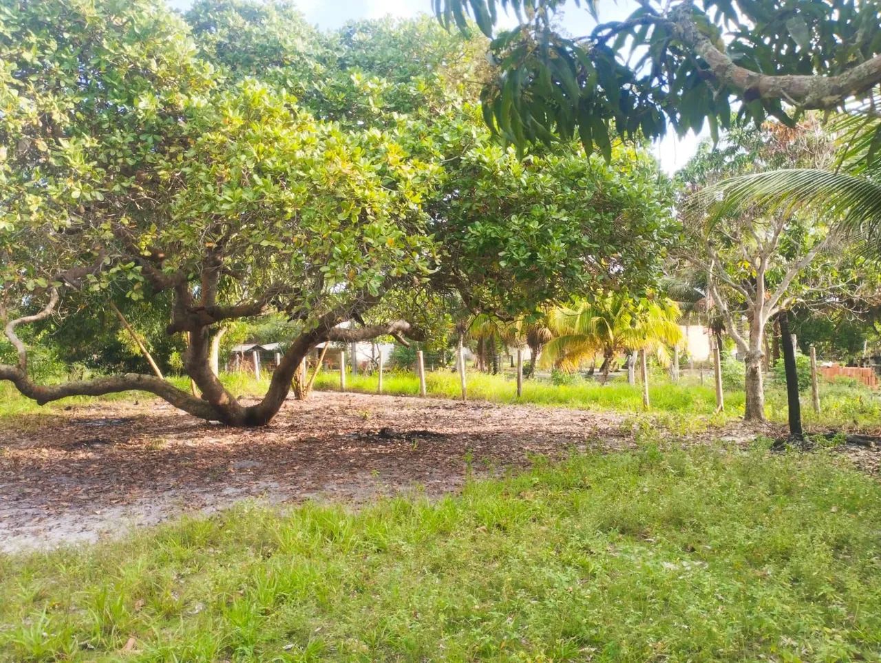 TERRENO EM NOVA VIÇOSA BA  - Foto 3