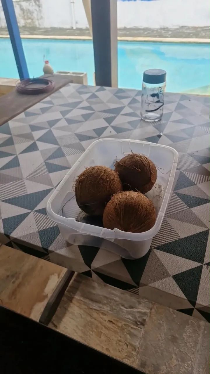 Cocó seco 