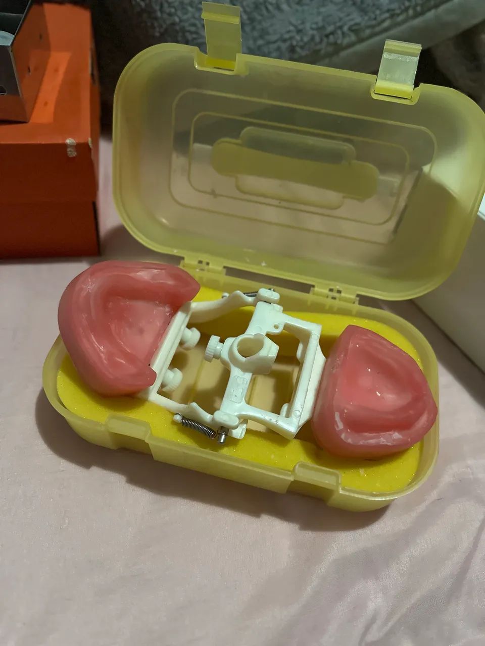 Manequim Dentística 