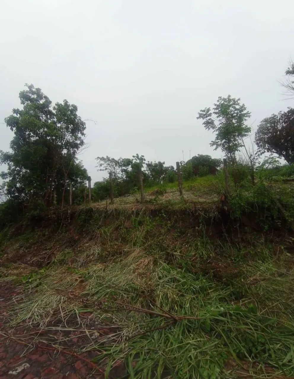 Terrenos com documento  - Foto 2