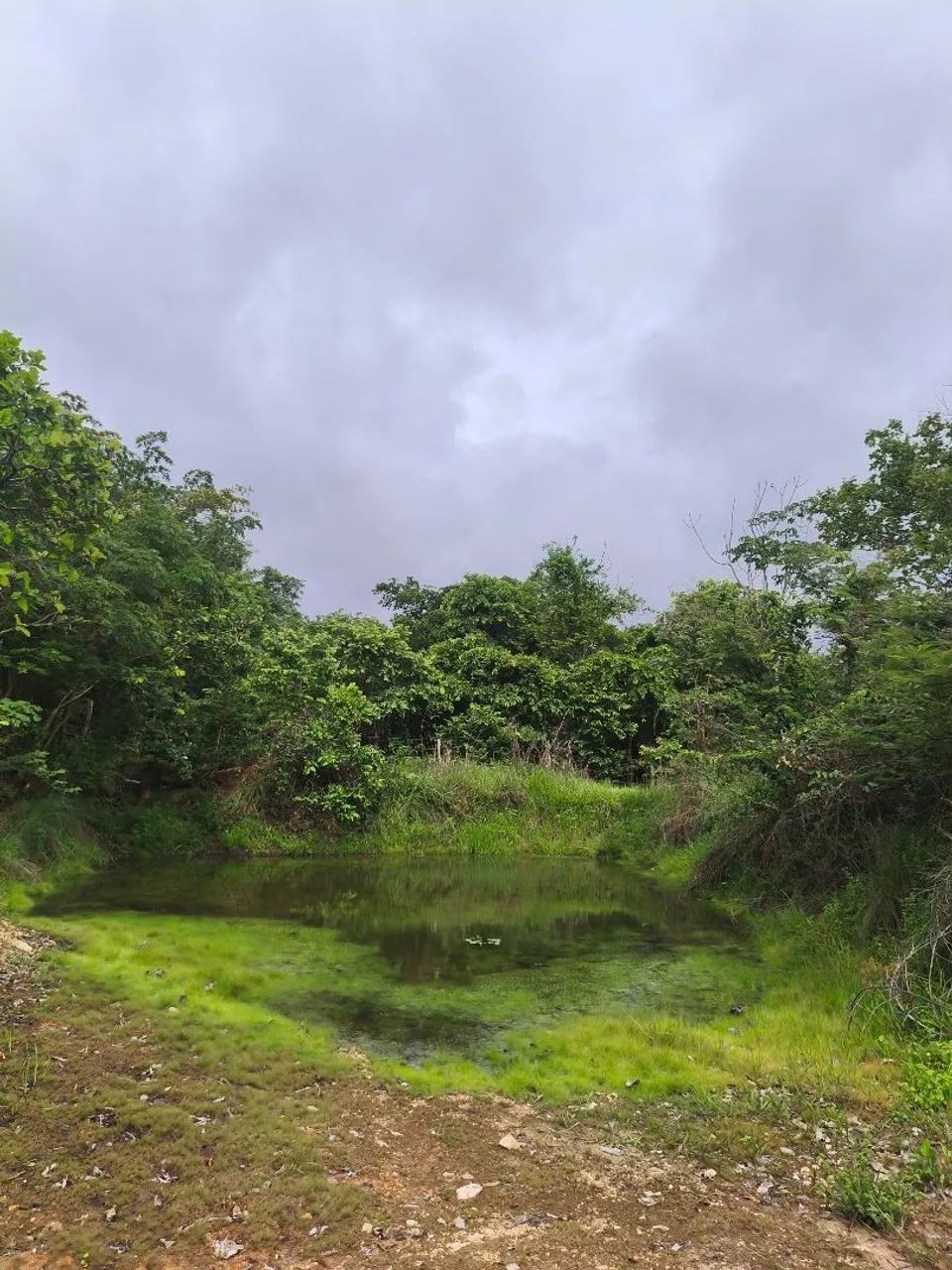 *?SITIO EM CANGAS ? - Foto 3