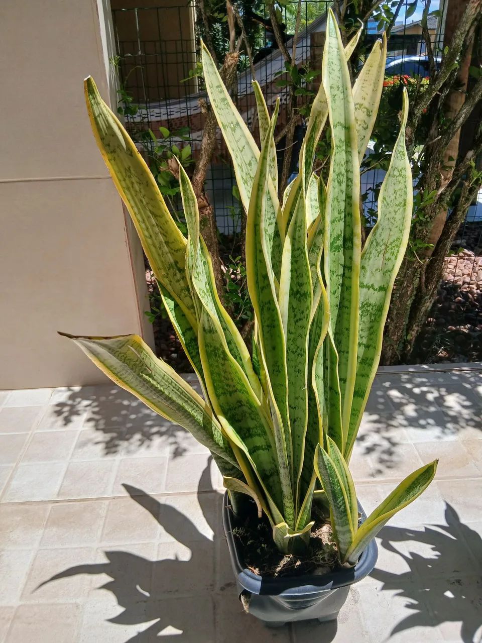 Espada sta.barbara  - Foto 2