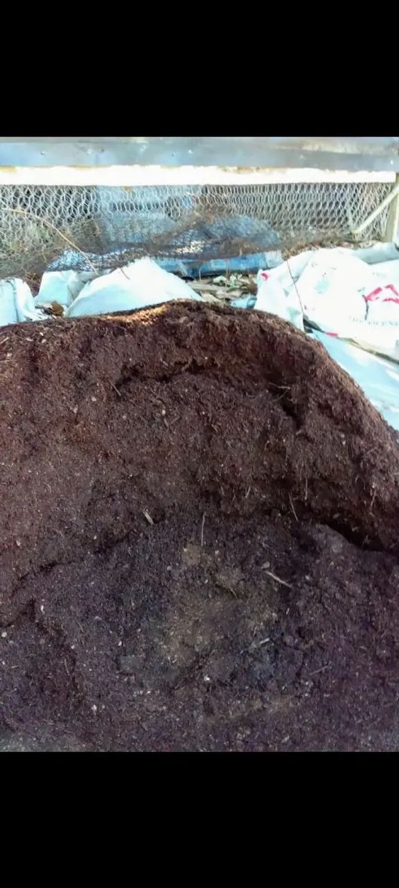 ADUBO FORTE COMPLETO e SERVIÇOS - Foto 3