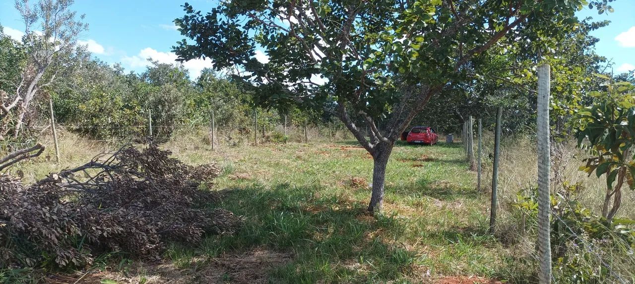 Terreno a venda  - Foto 4