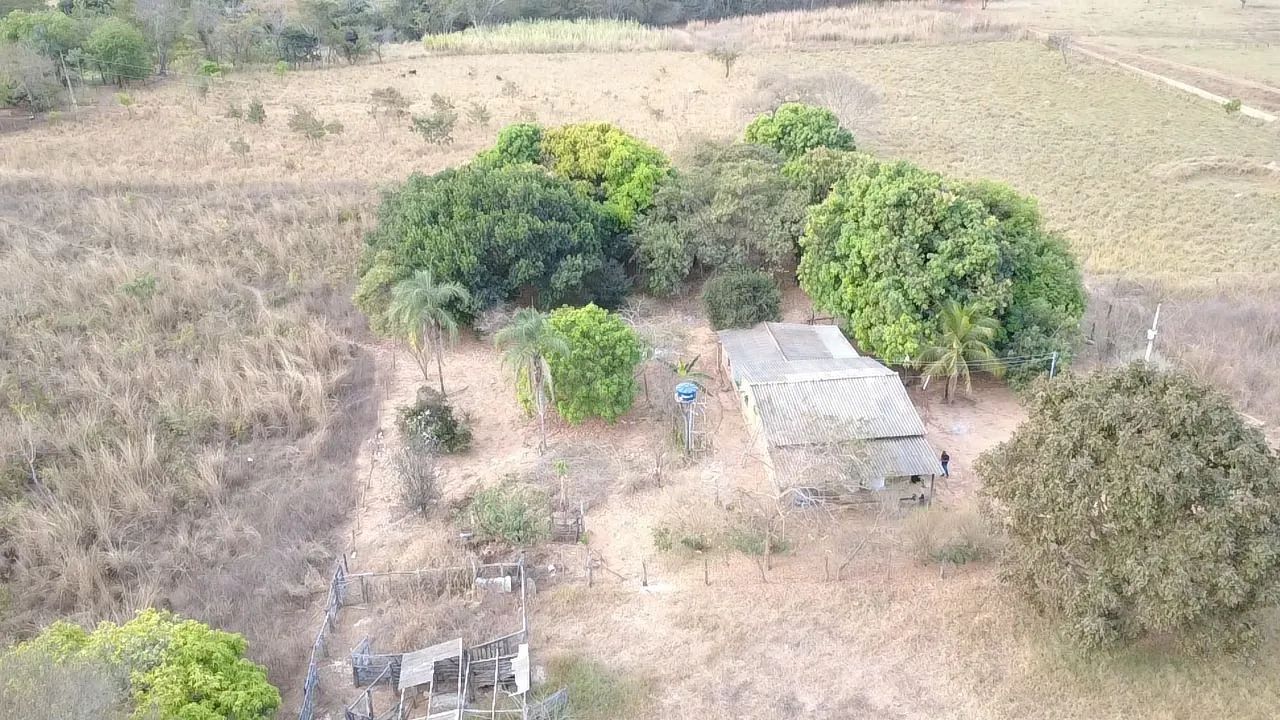 Sítio 54  hectares e meia  - Foto 5