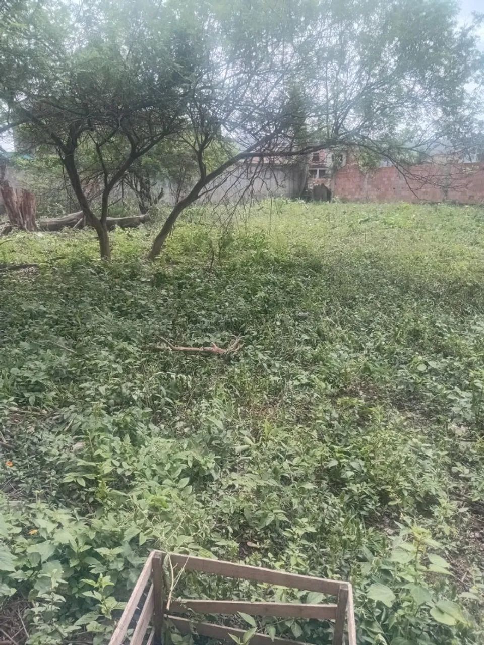 Terreno com área de 750 metros todo murado