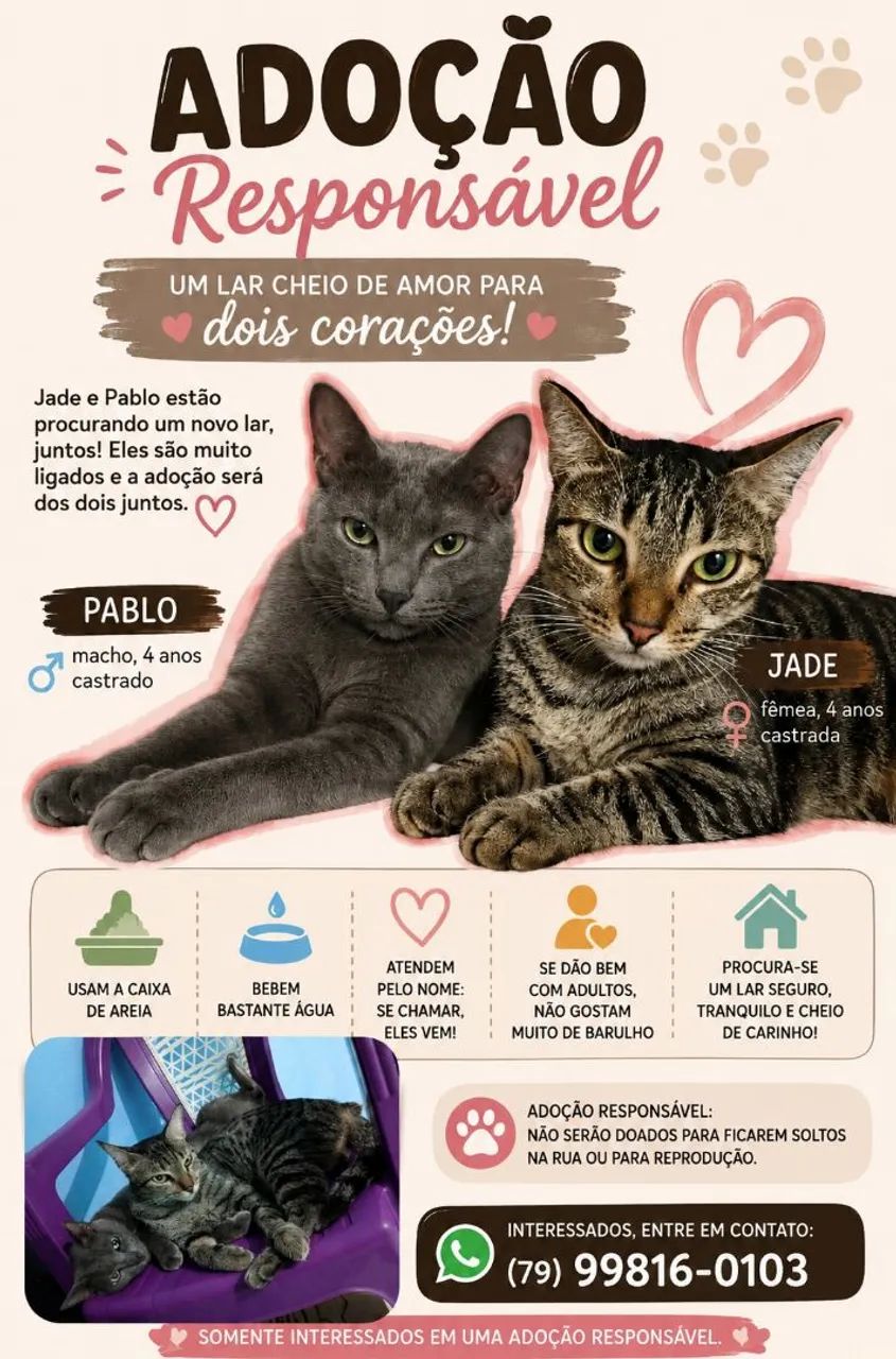 Adoção Responsável 