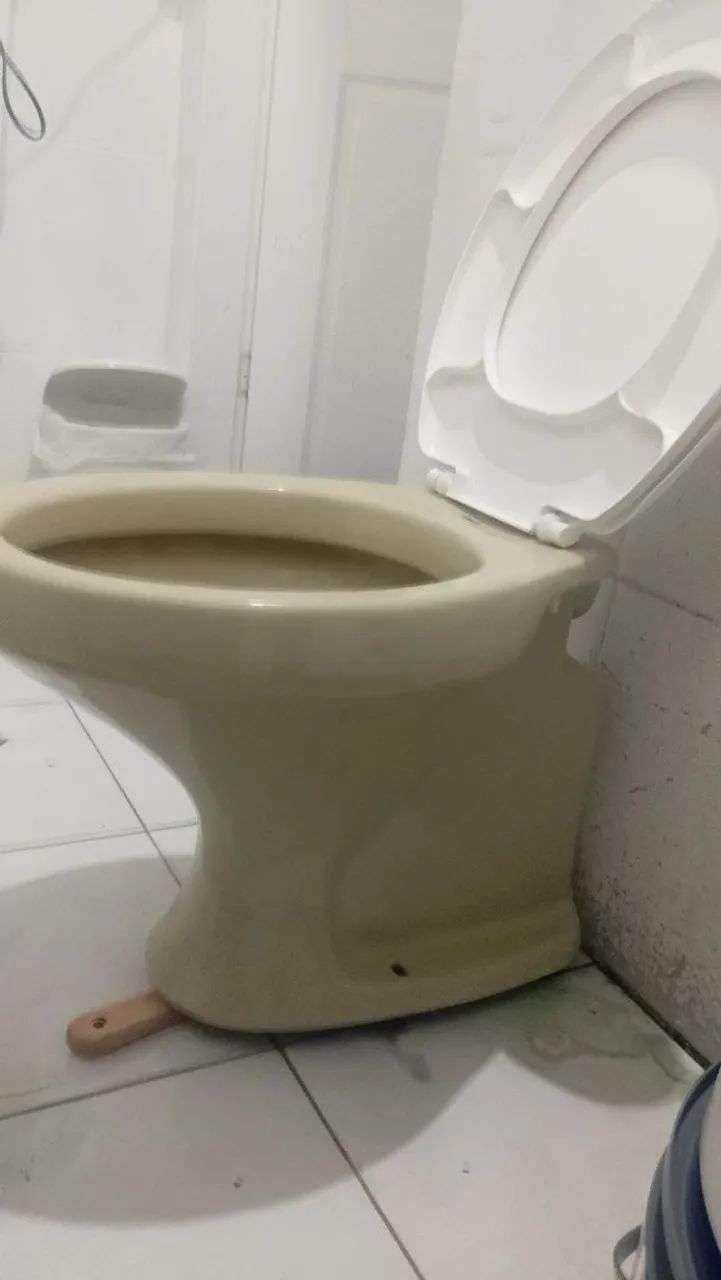 Vaso sanitário Deca65193083077635121