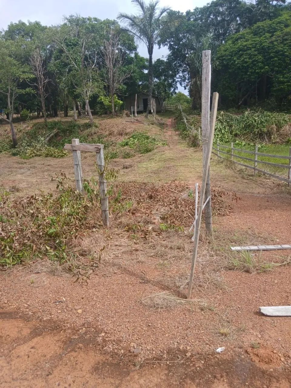 Fazenda Estrada de Altazes - Foto 5