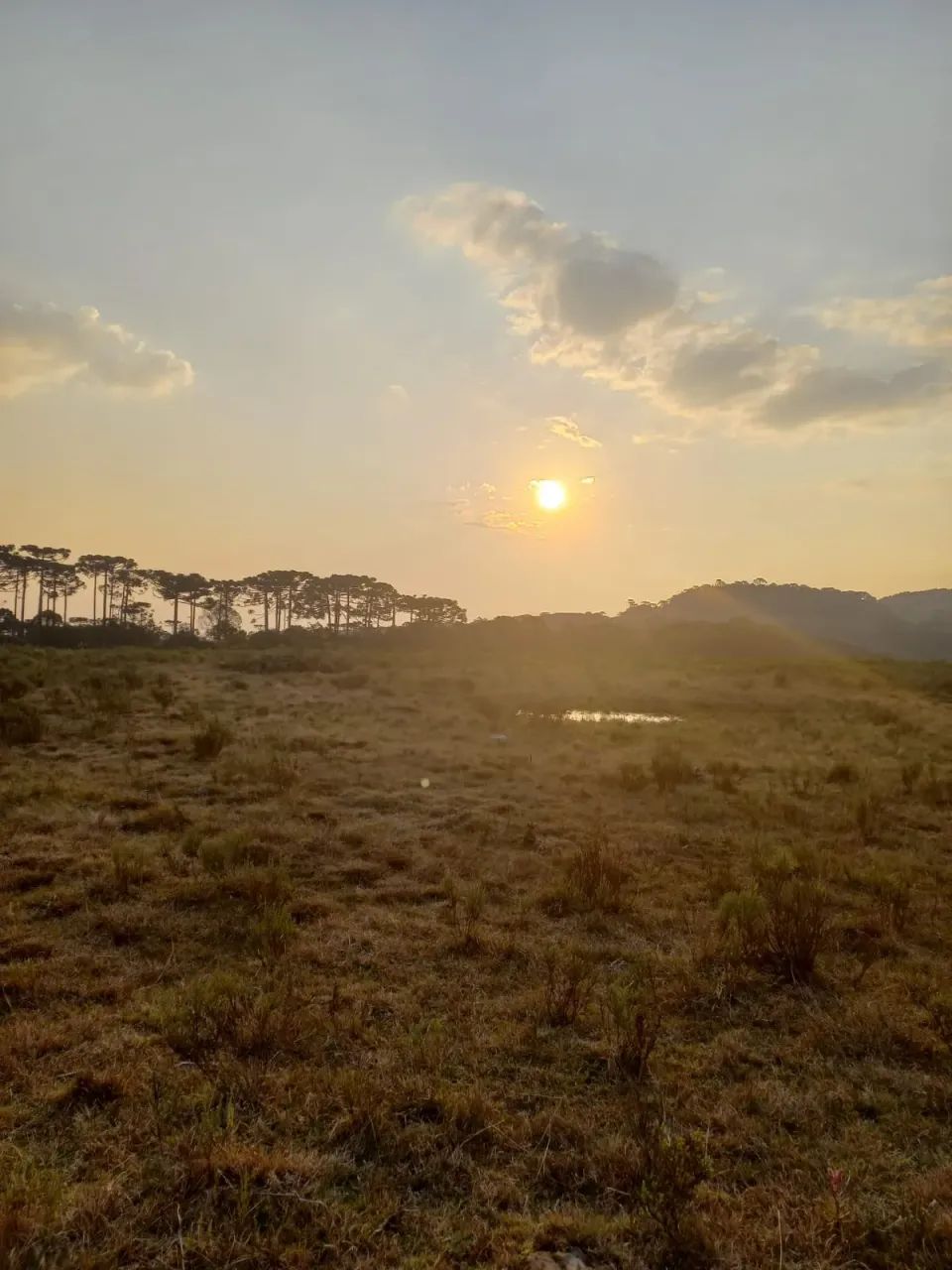 57,8 hectares de matas e campos na Serra Catarinense - Foto 2