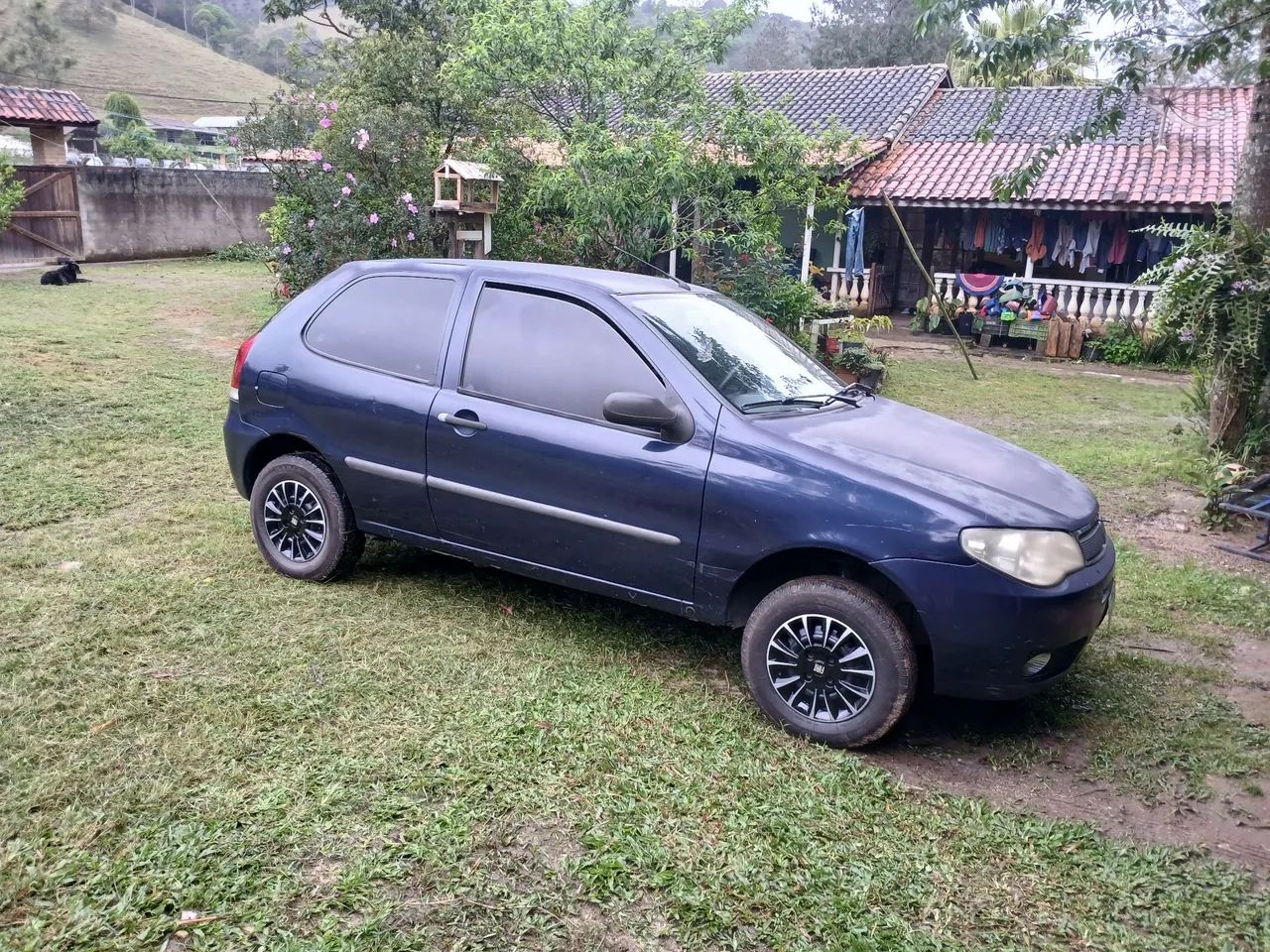 Fiat Palio Palio EX 1.0 mpi Fire/ Fire Flex 8v 2p 2007