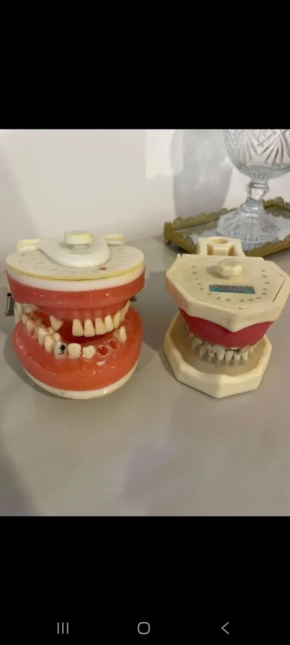 Manequim odontológico/periodontia - Foto 3