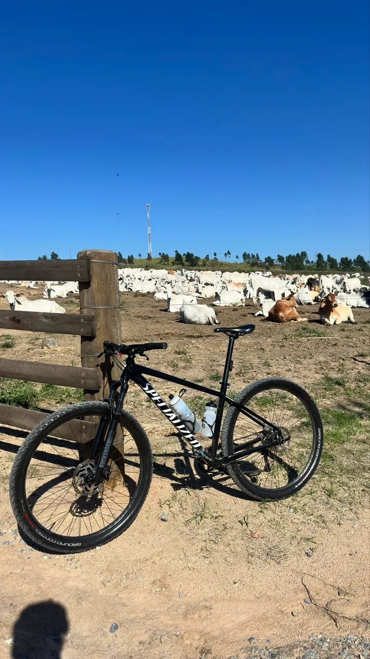 Bicicleta Specialized