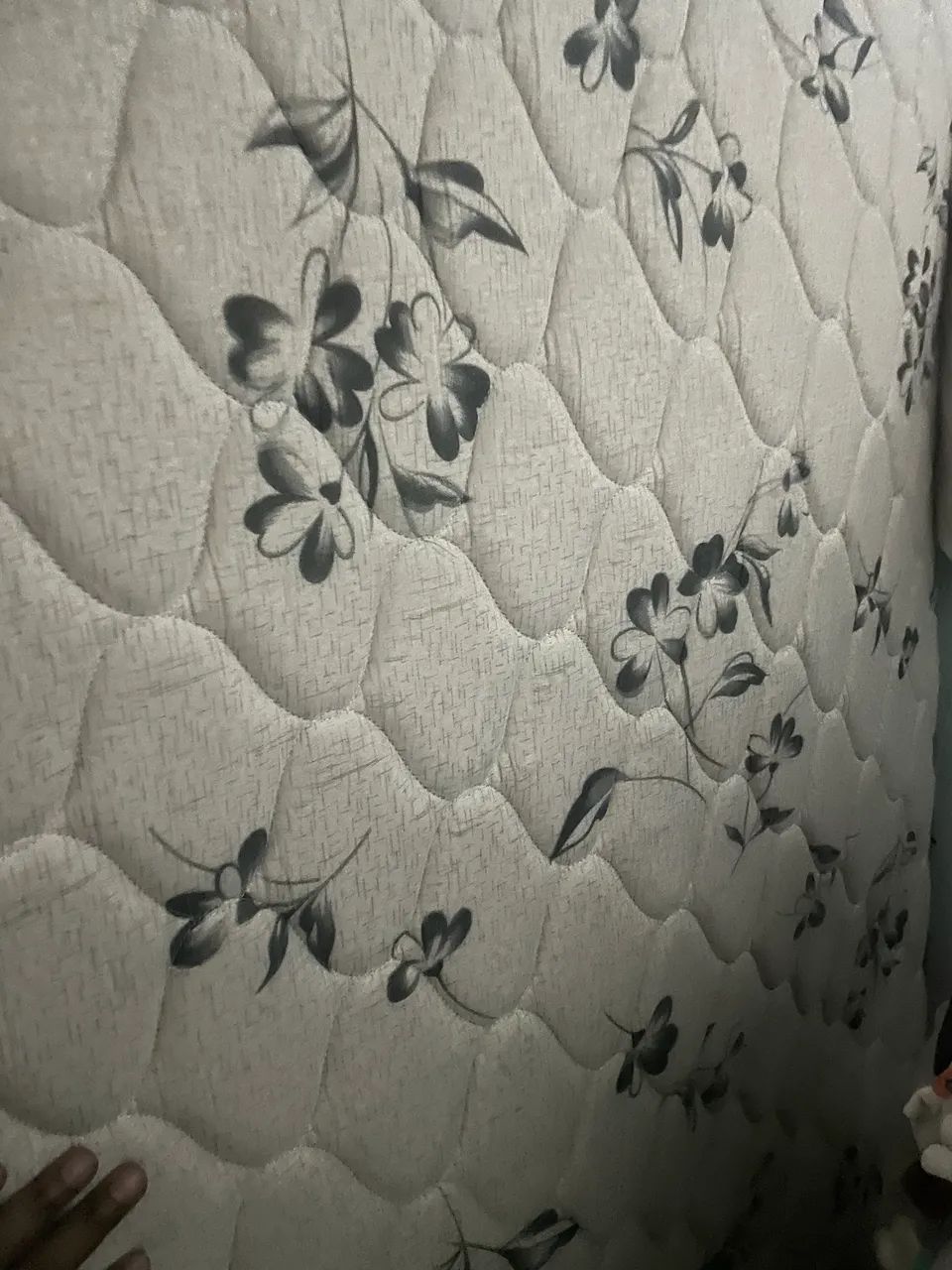 Cama box