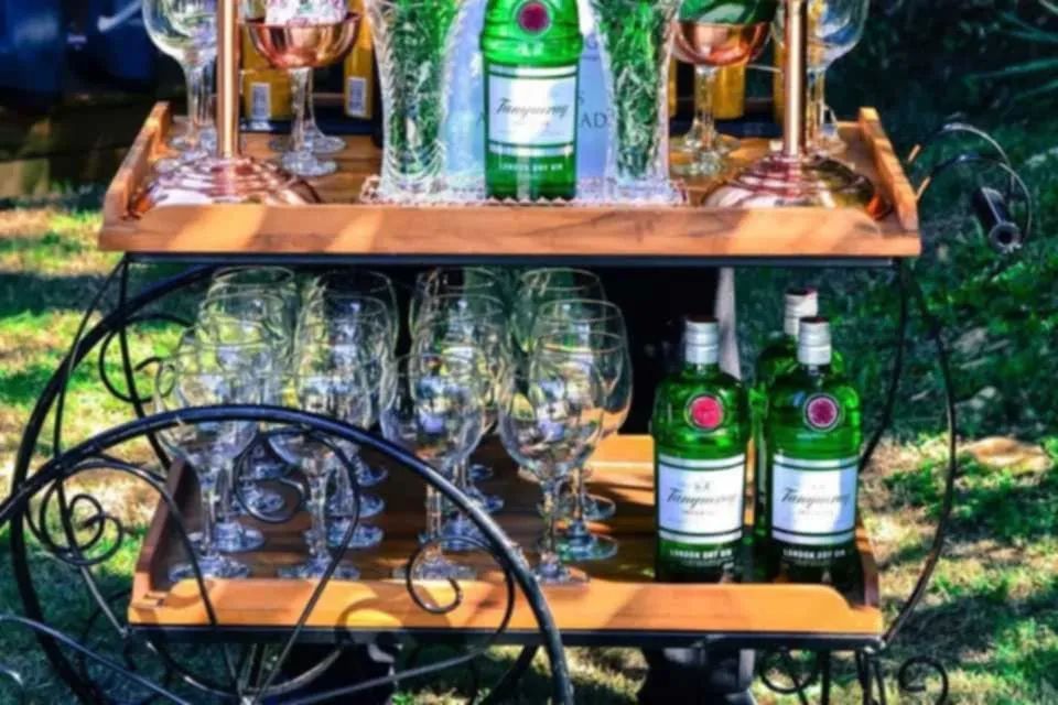 BARMAN E OPEN BAR - Foto 6