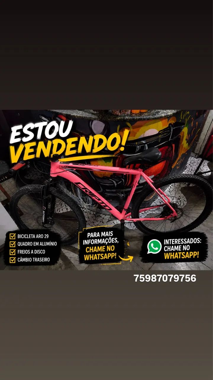 Bicicleta aro 29