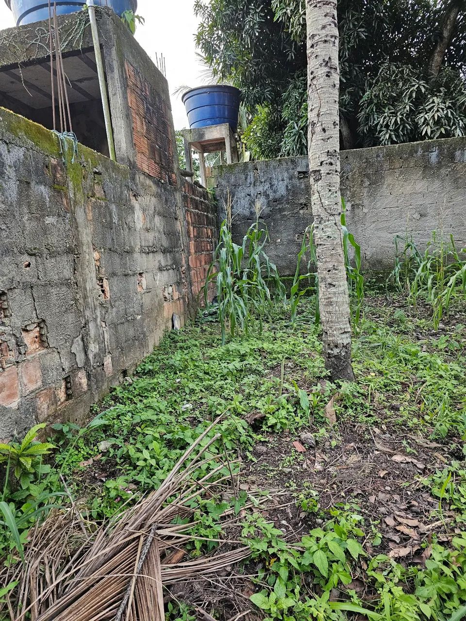 Terreno ,bairro maracujá,Escada,pe. - Foto 2