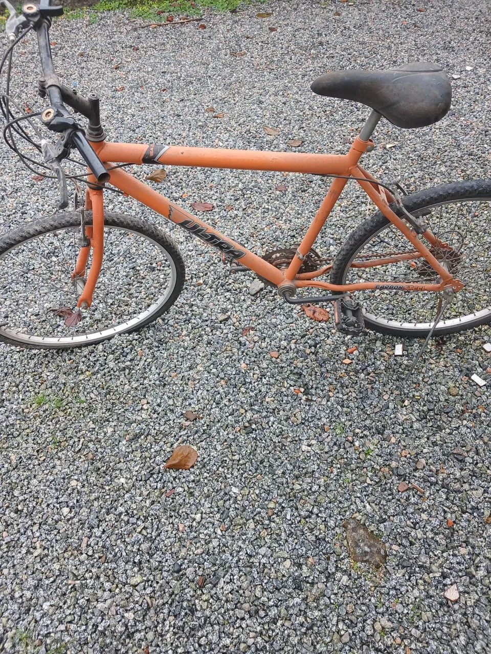 Bicicleta