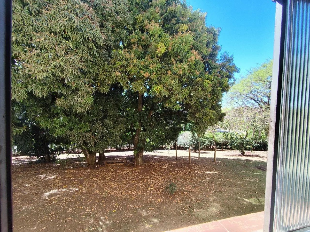 Exclusividade! Apartamento 3 Dormitorios - Sol da manhã.. - Foto 2