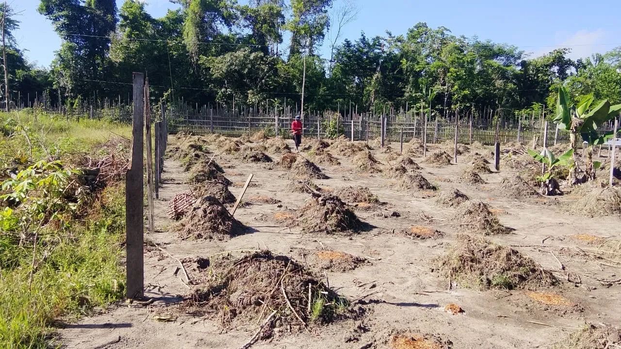 Terreno em Benfica a venda 