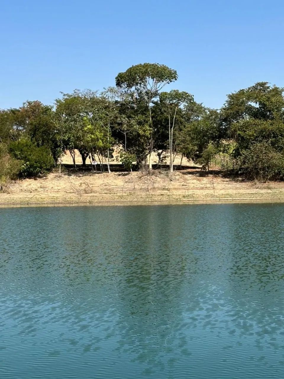 Área Delfinopolis 800 metros da balsa - Foto 5