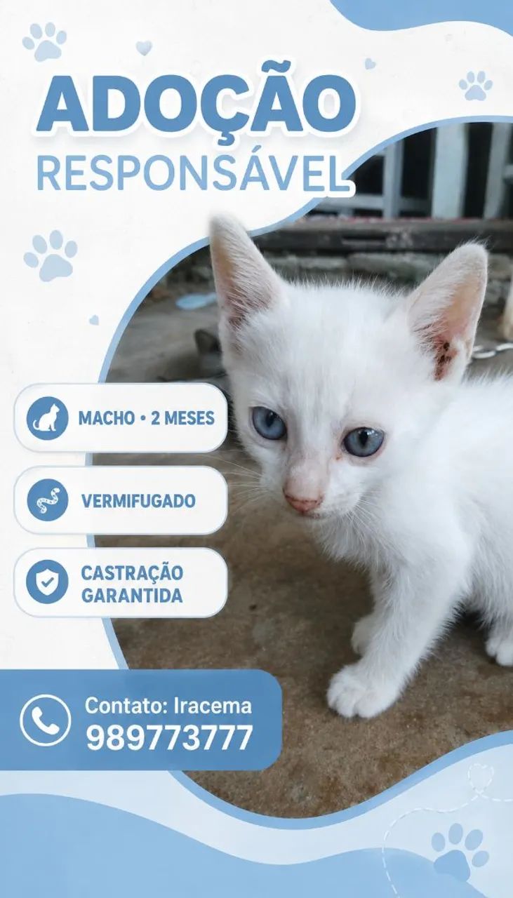 Adoção 