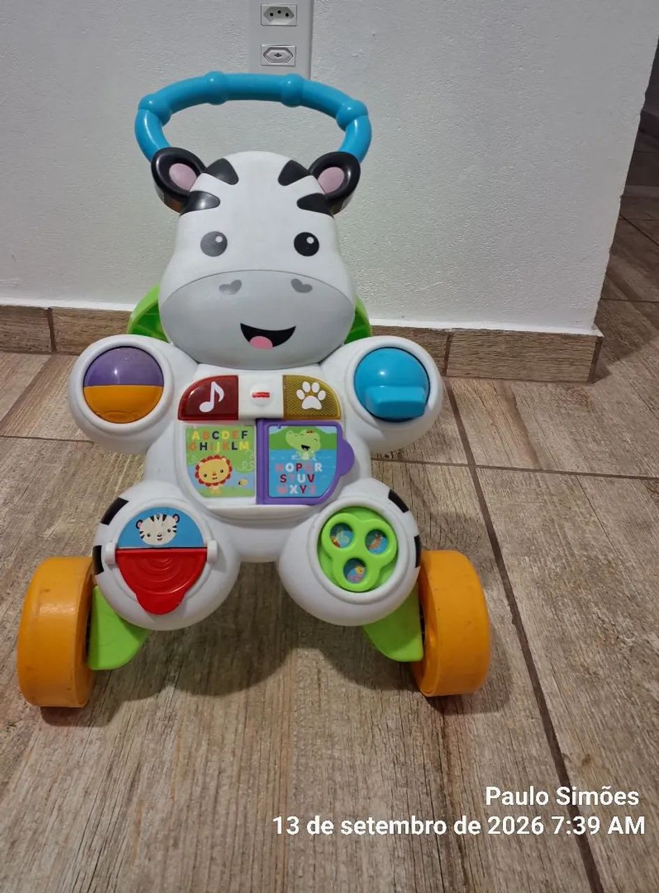 Andador zebra  - Foto 4
