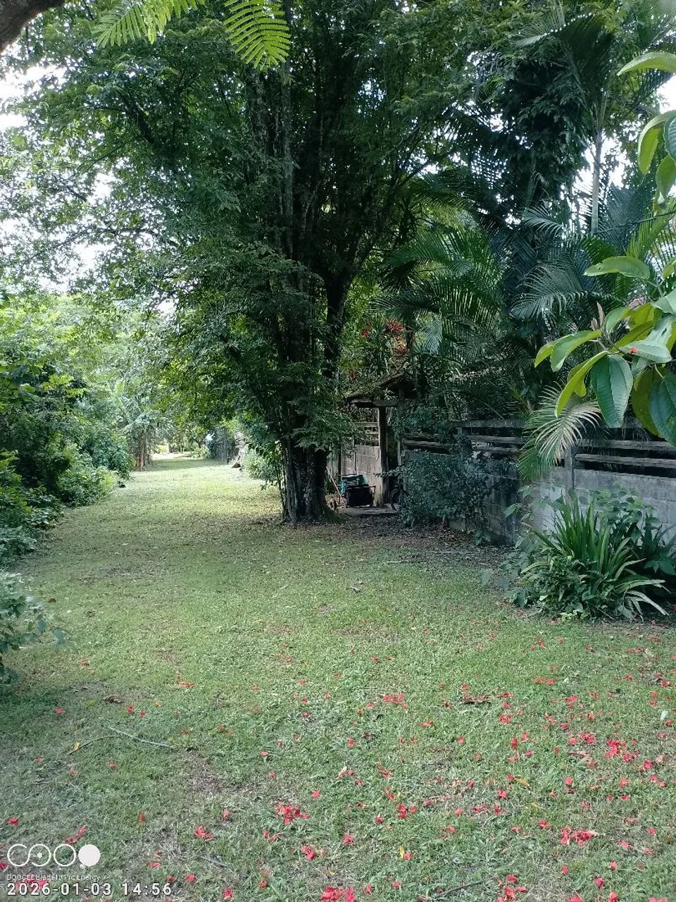 Foto - Mangaratiba - 
