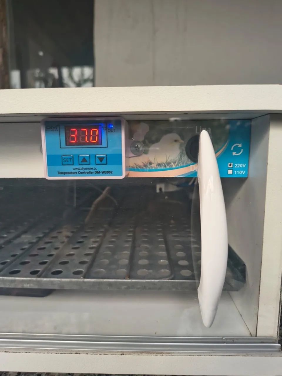 Chocadeira Automática  - Foto 2