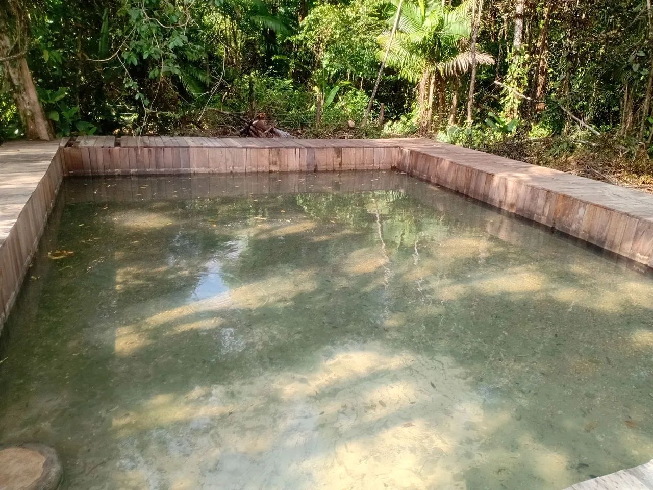 Vendo Terreno com 2 igarapé - Foto 5