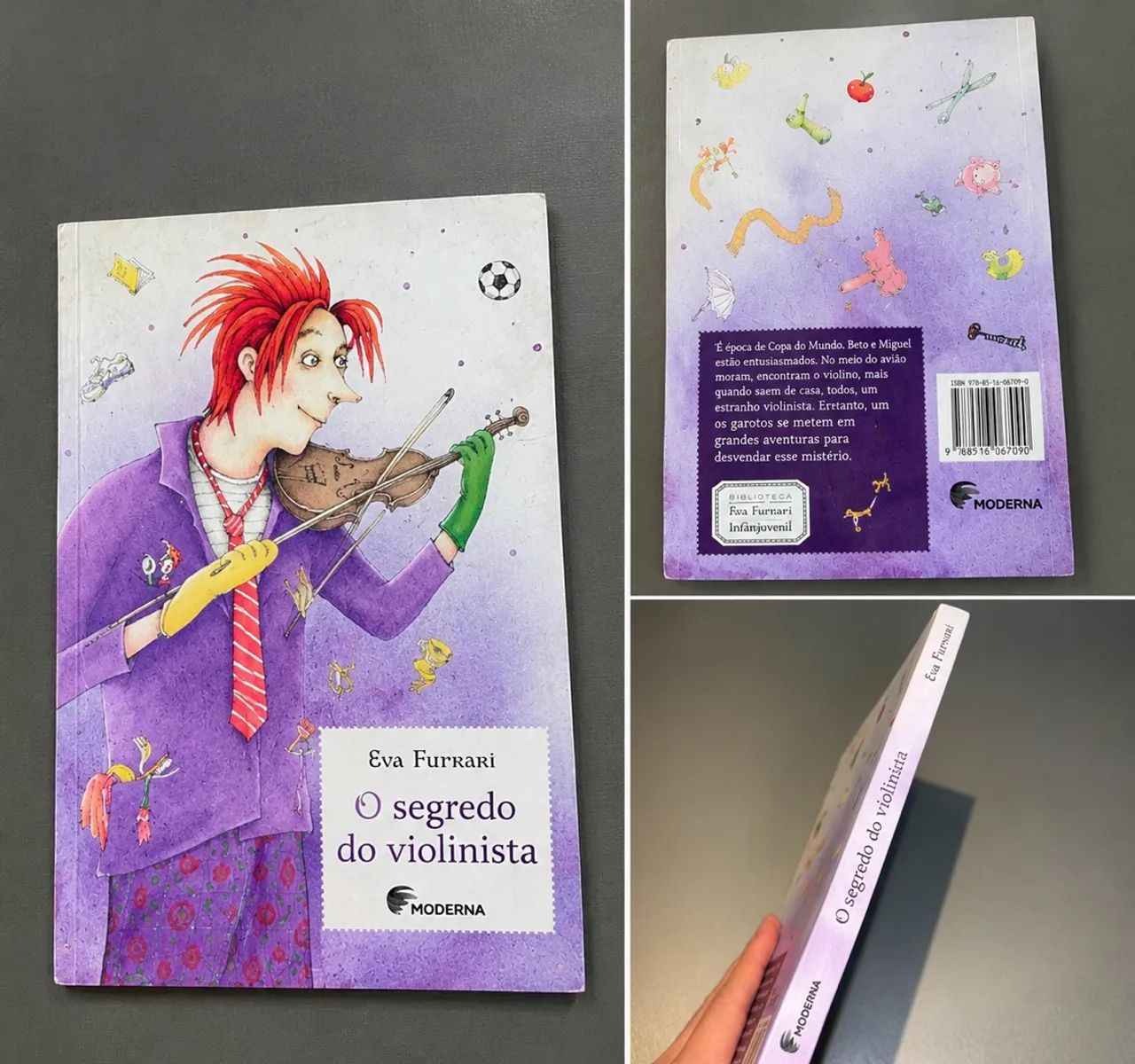 O segredo do violinista 