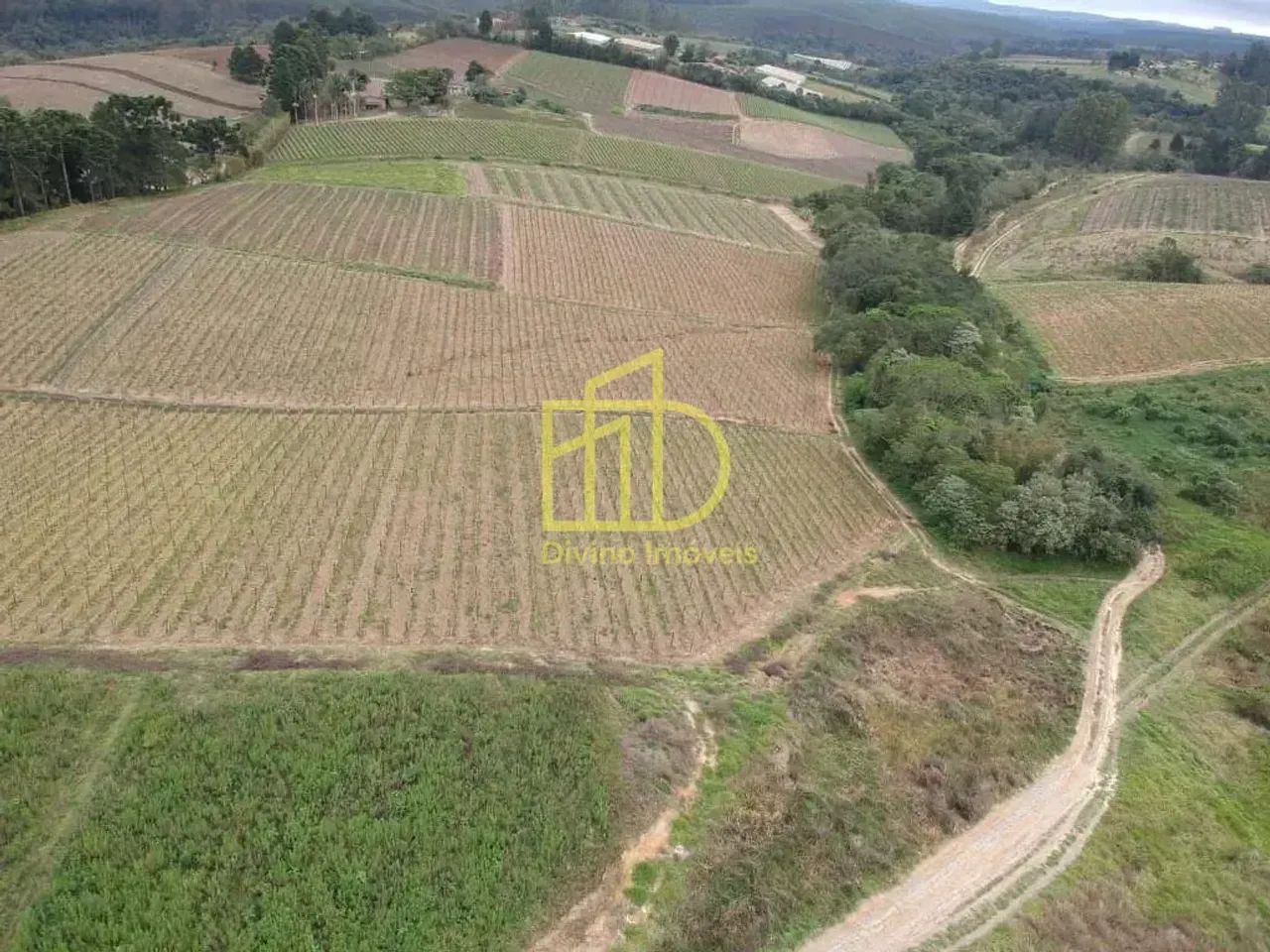 Sítio à Venda em São Miguel Arcanjo, SP - Foto 3