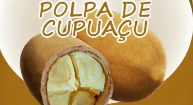 Polpa de frutas 100%