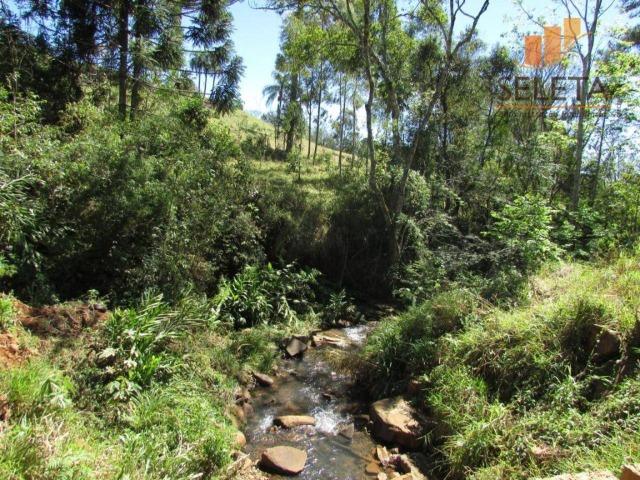 Fazenda- Venda- 8km da BR 277 - Foto 17