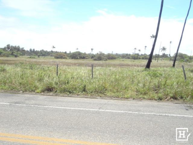 Terreno à venda - mosqueiro - Foto 2