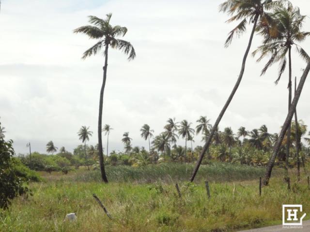 Terreno à venda - mosqueiro - Foto 5