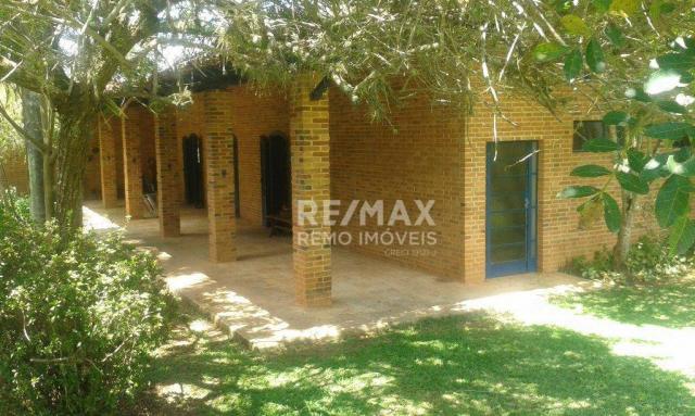 Chácara residencial para locação, caixa d'água, vinhedo. - Foto 3