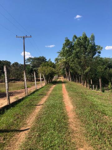 Chacara em Sto Antonio Leverger 110metros de Beira de Rio C/Tanque de Peixes Arvores Fruti - Foto 4