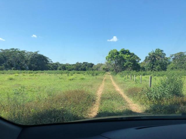 Chacara em Sto Antonio Leverger 110metros de Beira de Rio C/Tanque de Peixes Arvores Fruti - Foto 3
