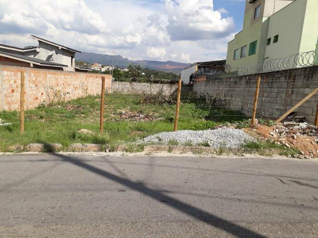 Lote - Foto 6
