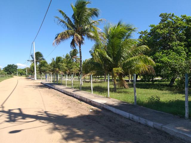 Cód 107 Lotes legalizados 200m2 !! - Foto 2