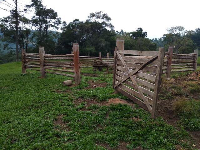 Lindo sítio em Itaiópolis - Foto 6