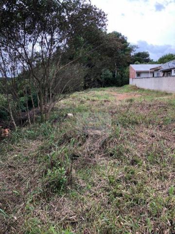 Terreno à venda, 820 m² por r$ 120.000 - Foto 3