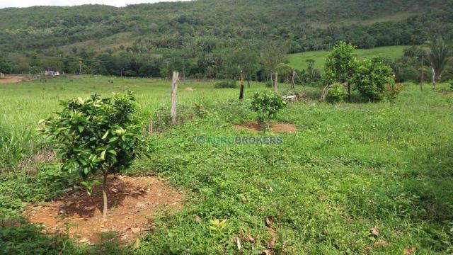 Sítio 19,5 ha em serra de são vicente - Foto 4