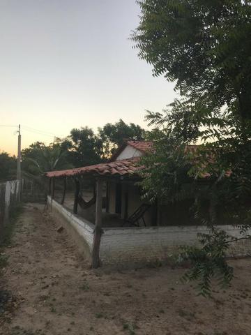 Sítio de 60Hectares a 13Km da Cidade do Buriti dos Lopes. (140mil) - Foto 8