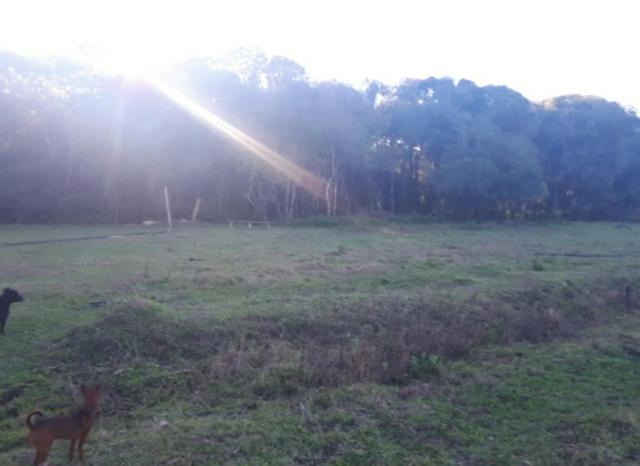 Chácara São José Dos Pinhas