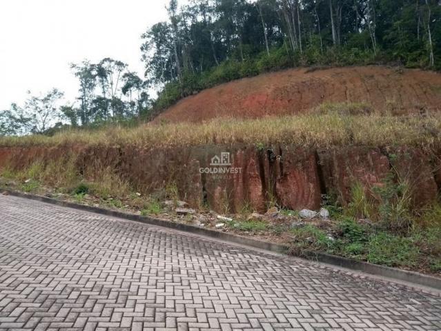 Terreno residencial - águas claras - loteamento independência - Foto 6
