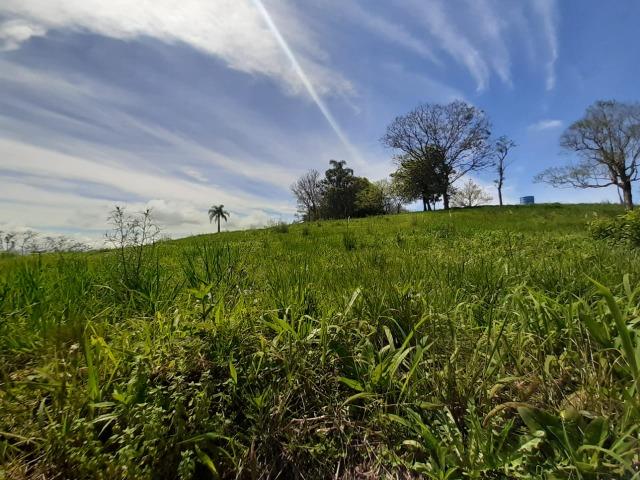 Excelente Chácara próximo a Flores da Cunha - Foto 10