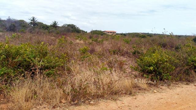 Lote 15x50m na praia da Caponga - Foto 11