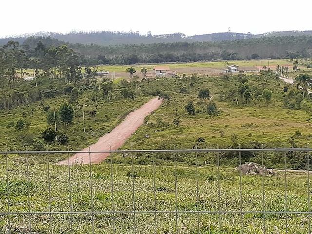 Lindo terreno no sítio - Foto 5